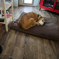 Photo of Teal's room