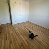 Photo of Eve's room