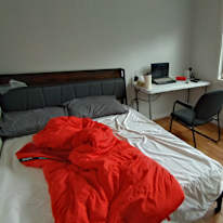 Photo of Rex's room