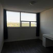 Photo of Ivy's room