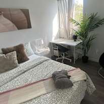 Photo of Ariel's room