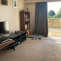 Photo of Sultana's room