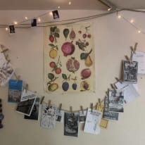 Photo of The Beet Collective's room