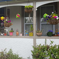 Photo of Delia's room
