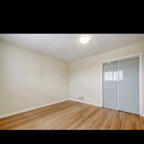 Photo of singla's room