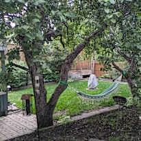Photo of Andrew Olivier's room
