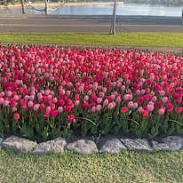 Photo of Gerard's room