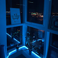 Photo of Amy's room