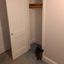 Photo of Robyn's room