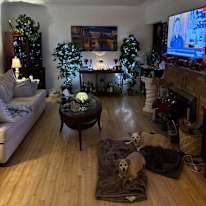 Photo of Tina's room