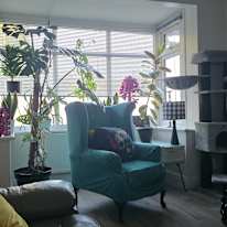 Photo of Sam's room