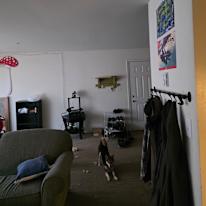 Photo of Avery's room