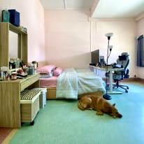 Photo of lien's room