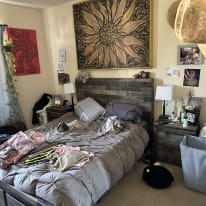 Photo of Jesse's room