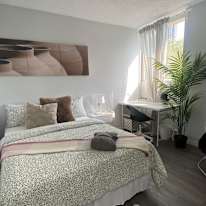 Photo of Mahmut Aga's room