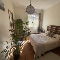 Photo of MJ Scholtz's room