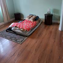 Photo of Donna's room