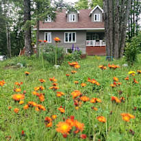 Photo of Radoslaw's room