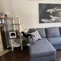Photo of Jordan's room