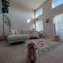 Photo of Sinton's room