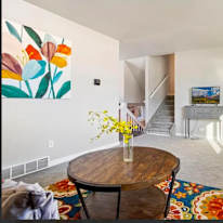 Photo of Caitlin Mehdi's room