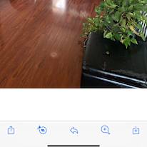 Photo of Mark fatteicher's room
