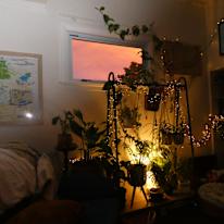 Photo of Morgan's room