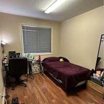 Lameena Chowdhury's room