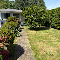 Photo of Will Mc Namara's room