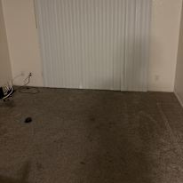 Photo of Ivory's room