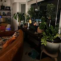 Photo of Holly Halter's room