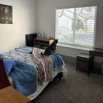 Photo of Holly's room