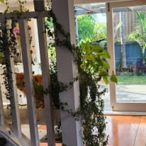 Photo of Kim's room