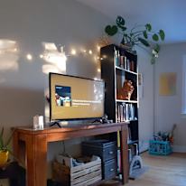 Photo of Shae's room