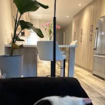Photo of Chantel's room