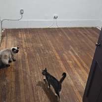 Photo of Matt's room