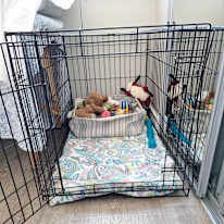 Photo of Dotty's room