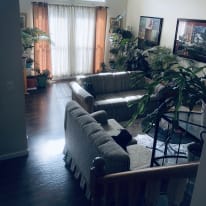 Photo of shiny T's room