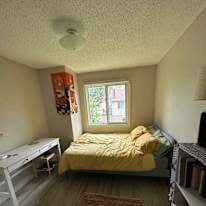 Photo of Nadim Shabana's room