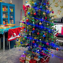 Photo of Stephanie's room