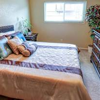 Photo of T's room
