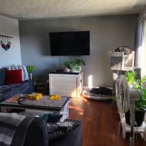Photo of Janine's room