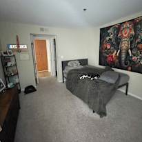 Photo of Vanessa's room