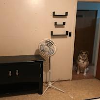 Photo of Kristi's room