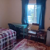 Photo of Lily's room