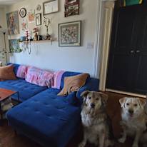 Photo of Lizzy Downes-Thom's room