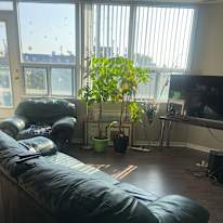 Photo of tom's room