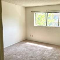 Photo of Heidi's room