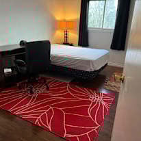 Photo of Saru's room