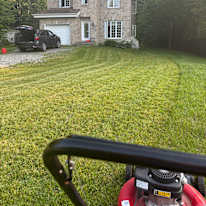 Photo of Richard's room